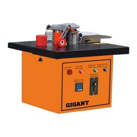  Кромкооблицовочный станок Gigant MF170A 