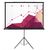  Экран Cactus 180x180см Triscreen CS-PST-180x180 1:1 напольный рулонный белый 