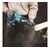  Пила сабельная аккумуляторная Makita DJR 186 Z  Li-ion 