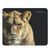  Коврик для компьютерной мыши Defender Wild Animals 220x180x2 (в ассортименте 8 видов) (133934) 