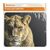  Коврик для компьютерной мыши Defender Wild Animals 220x180x2 (в ассортименте 8 видов) (133934) 