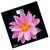  Весы напольные Centek CT-2416 Pink Flower 