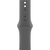  Smart-часы Apple Watch Series 10 A3001 MWXE3ZP/A 42мм OLED размер браслета 150-200мм титан/серый 