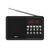  Радиоприёмник RITMIX RPR-001 Black 