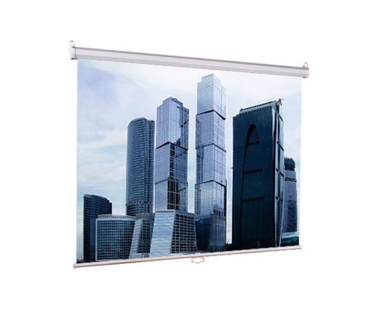  Экран Lumien 203x203см Eco Picture LEP-100109 1:1 настенно-потолочный рулонный 