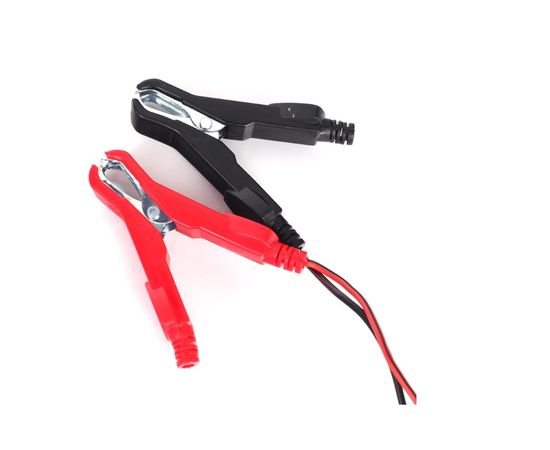  Зарядное устройство Patriot BCI 10A (650303410) 