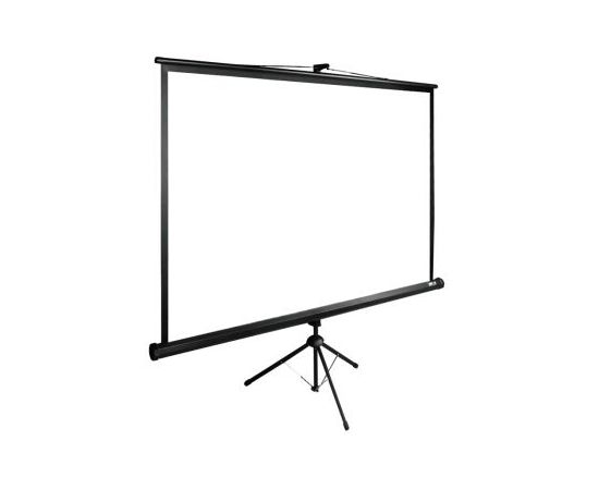  Экран Cactus 180x180см TriExpert CS-PSTE-180x180-BK 1:1 напольный рулонный черный 