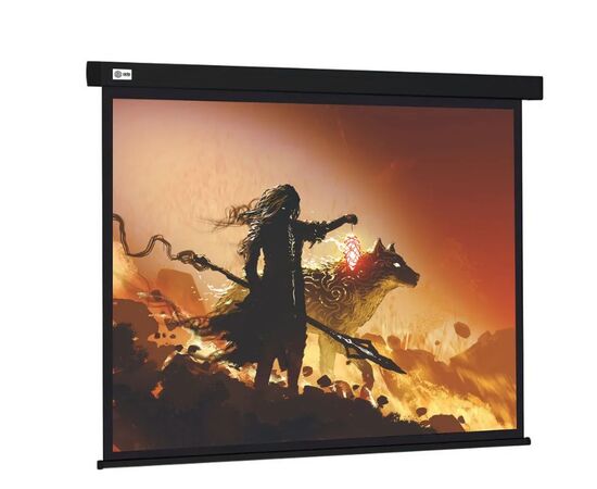  Экран Cactus CS-PSW-149X265-BK Wallscreen 16:9 настенно-потолочный рулонный черный 