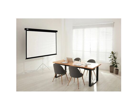  Экран Cactus CS-PSW-149X265-BK Wallscreen 16:9 настенно-потолочный рулонный черный 