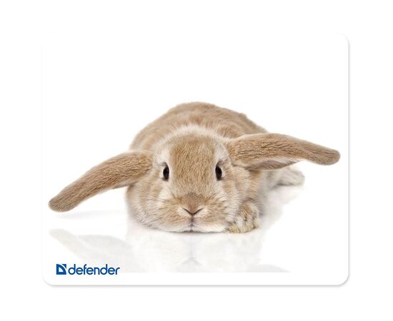  Коврик для компьютерной мыши Defender 230x190x1,6mm (в ассортименте 10 видов) (219957) 