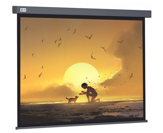  Экран Cactus CS-PSW-150X150-SG Wallscreen настенно-потолочный рулонный серый 