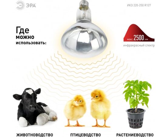  Лампа инфракрасная ЭРА Fito ИКЗ 220-250 R127 (Б0042991) E27 