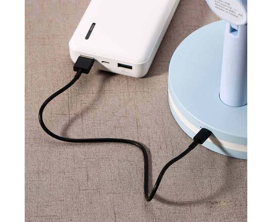  Кабель USB REMAX RC-120m Chaino Mini USB - MicroUSB, 3A, 30 см, черный 