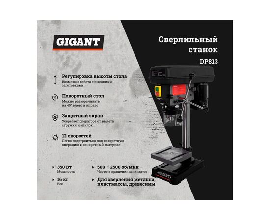  Сверлильный станок Gigant DP813 