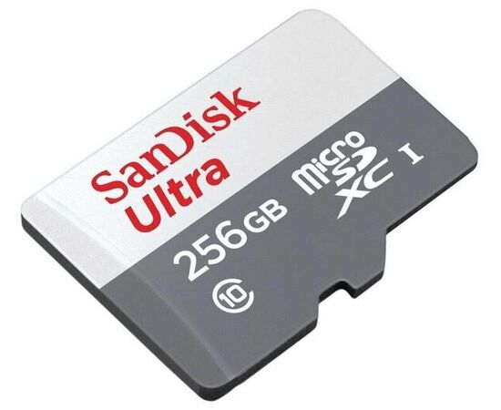  Карта памяти SANDISK UHS-I SDSQUNR-256G-GN3MN Micro SDXC 256GB 