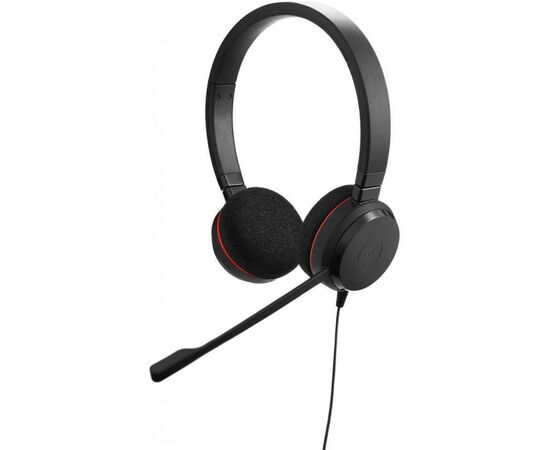  Гарнитура Jabra EVOLVE 20 MS Stereo 4999-823-109 
