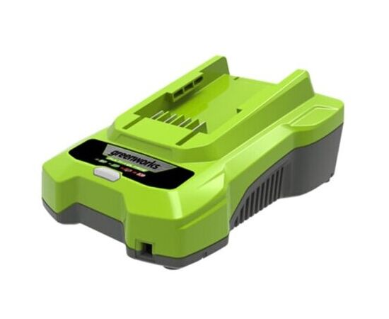  Зарядное устройство GreenWorks G24C4 (2946407) 