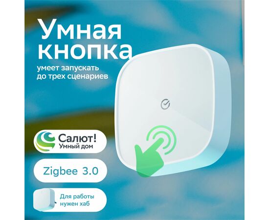  Умная кнопка товарный знак SBER SBDV-00032 