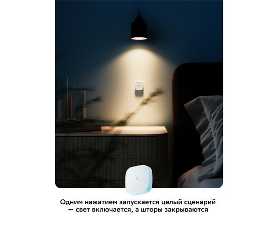  Умная кнопка товарный знак SBER SBDV-00032 