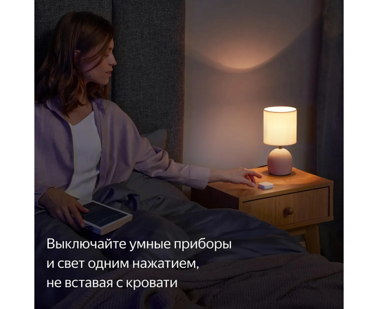  Умная кнопка ЯНДЕКС YNDX-00524 белый 