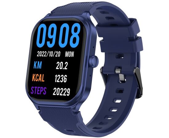  Смарт-часы Wifit WiWatch S2 Lite WF011DKBL Dark Blue 