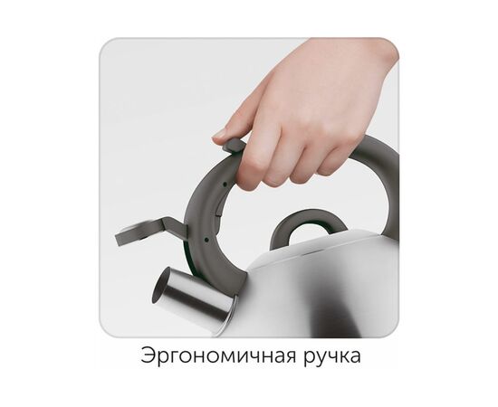  Чайник Nadoba Magda 731502 