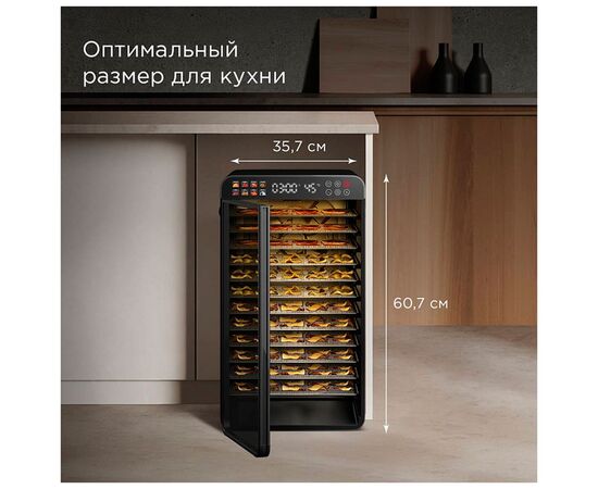  Дегидратор REDMOND FD1104 Черный 