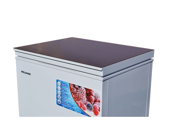  Морозильный ларь WILLMARK CF-310G 