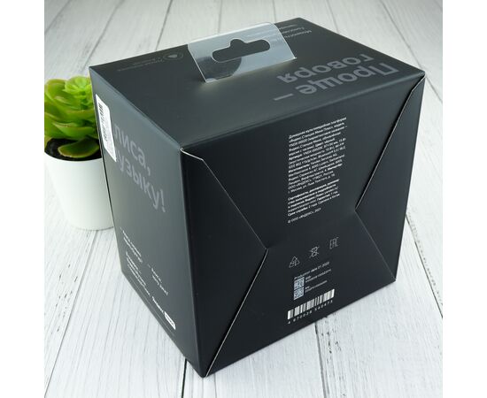  Яндекс Станция Мини 2.1 с часами YNDX-00020K (черный) 