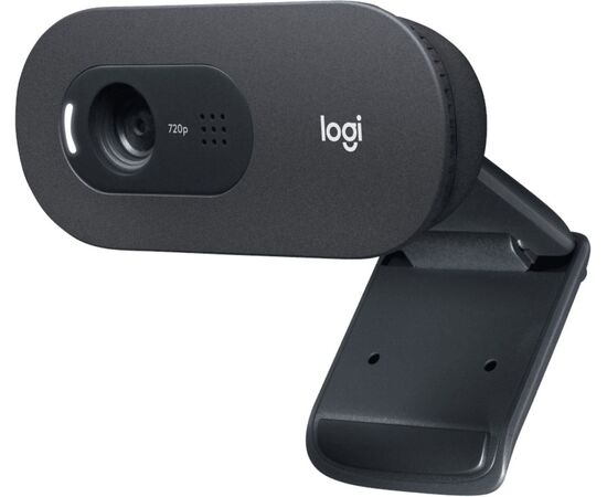  Web камера Logitech C505e (960-001373) черный 
