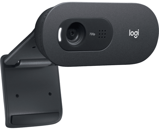  Web камера Logitech C505e (960-001373) черный 