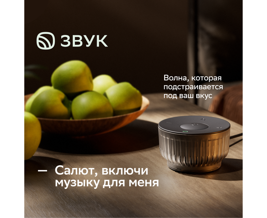 Акустическая система SBER серии SberBoom Mini 2 модели SBDV-00250, цвет: Квантовый чёрный 